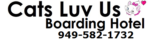 Cat youtube at Cats Luv Us