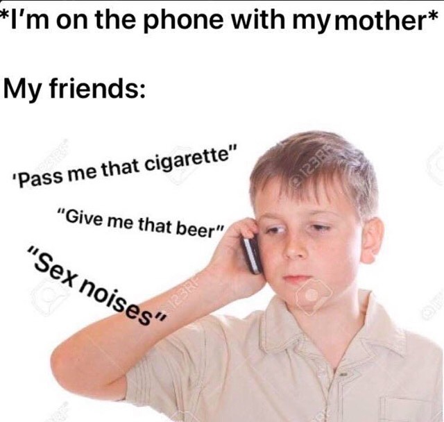 Cat tiktok at Cats Luv Us