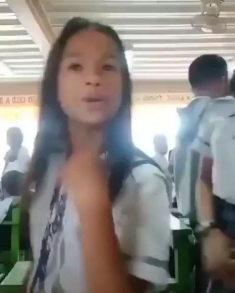 Cat tiktok at Cats Luv Us