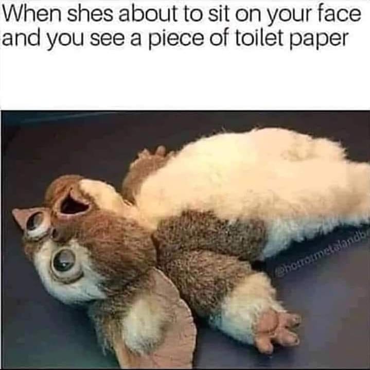 Cat youtube at Cats Luv Us