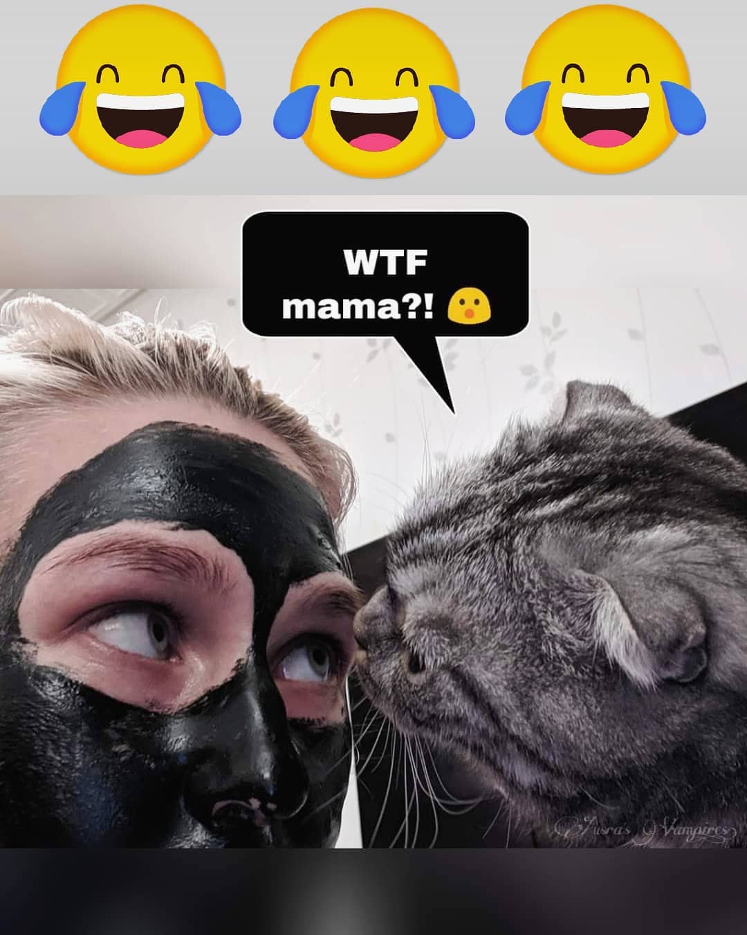 Cat youtube at Cats Luv Us