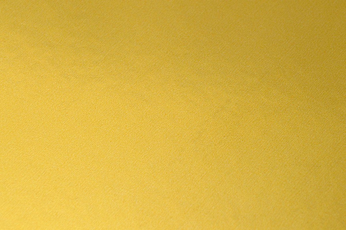 Funny cats at Cats Luv Us