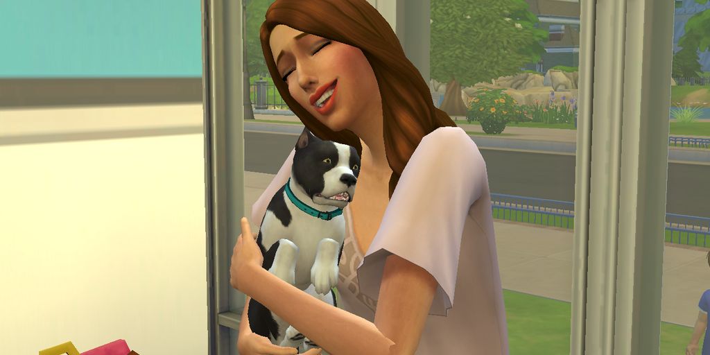 Cat tiktok at Cats Luv Us