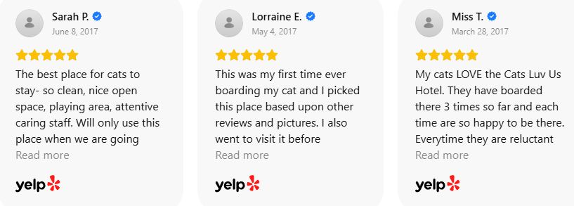 Customer Review 48