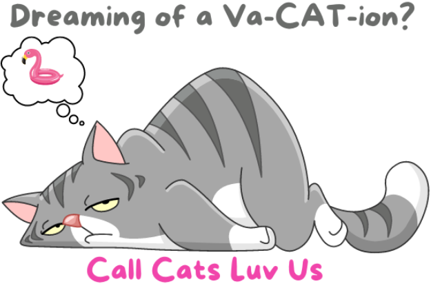 Dreaming of a Va-CAT-ion? Cat dreaming of flamingo
