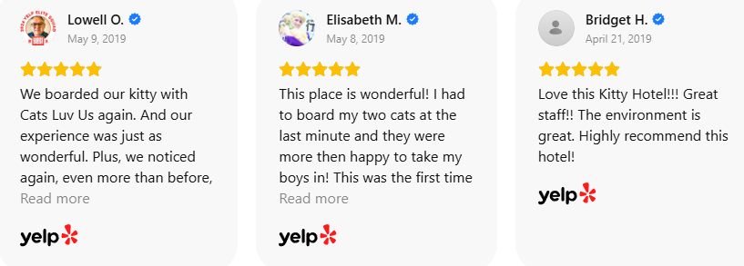 Customer Review 39