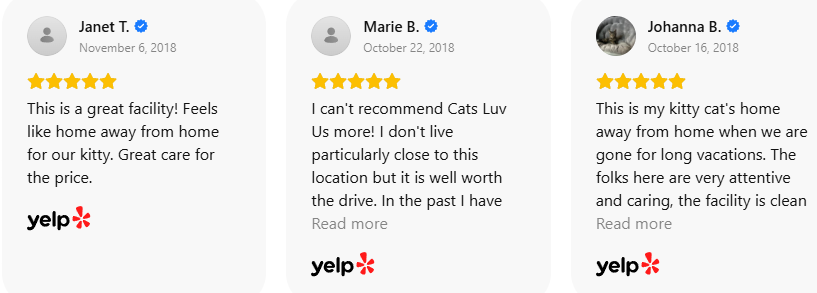 Customer Review 43