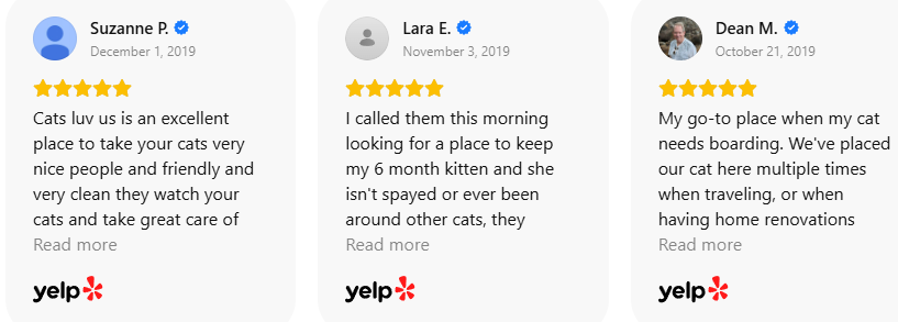Customer Review 36