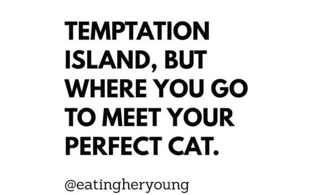Who’s with me?! Do you fellas know about @eatingheryoung? Jackie is a supportive,… img