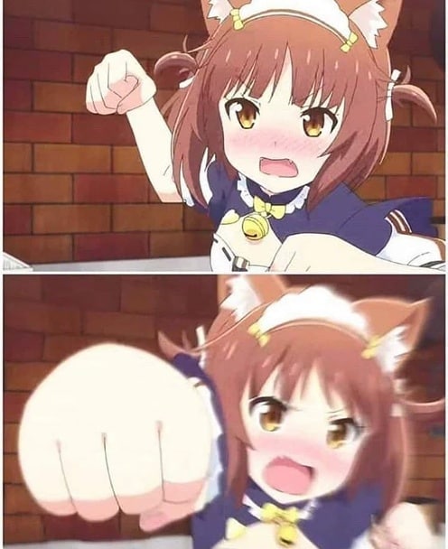 –
–
–
–
#anime #animememes #shitpost #meme #memes #cat #catmemes #amusing #reactio… img