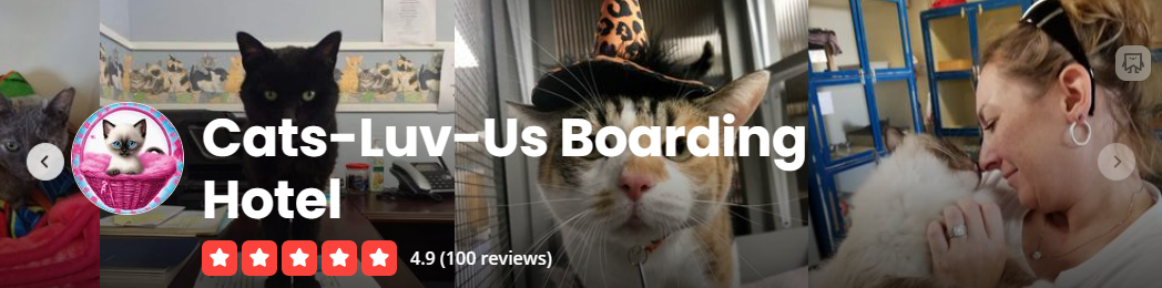 Yelp Banner